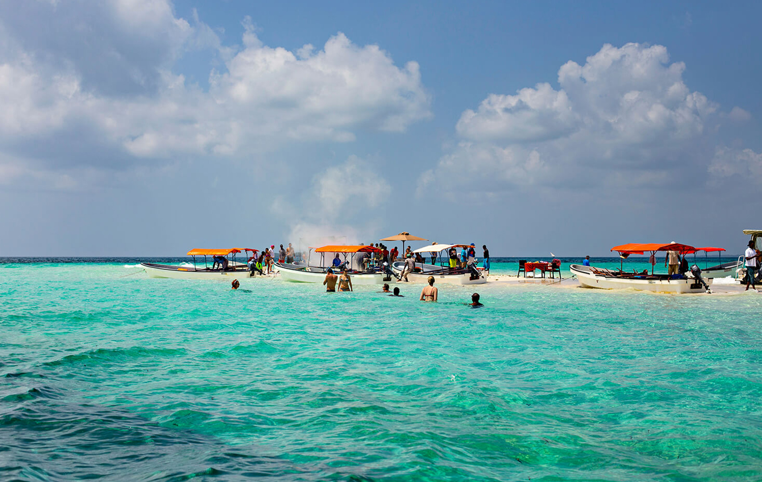 Safari Blue Sea Adventure