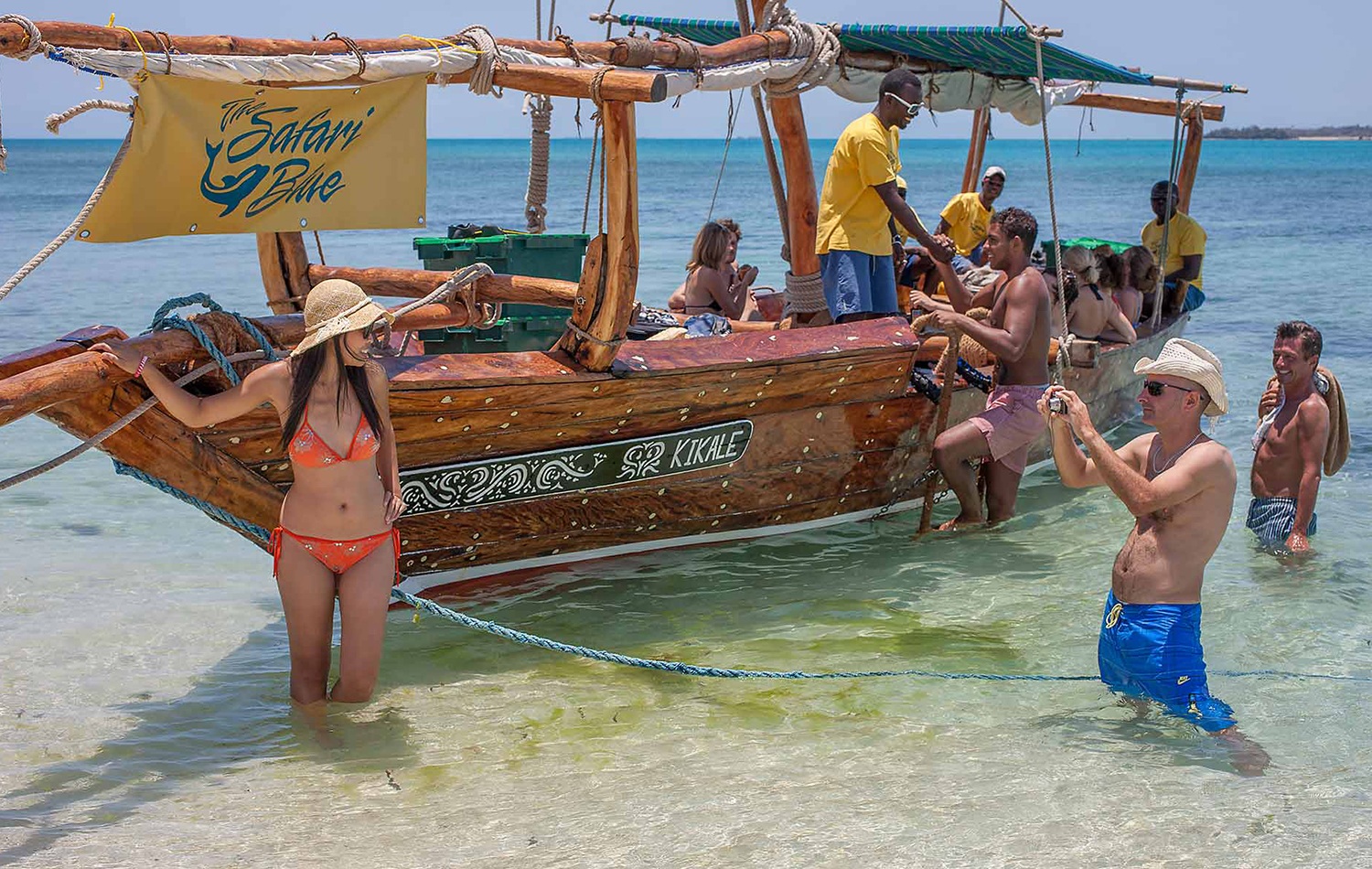 Safari Blue Sea Adventure