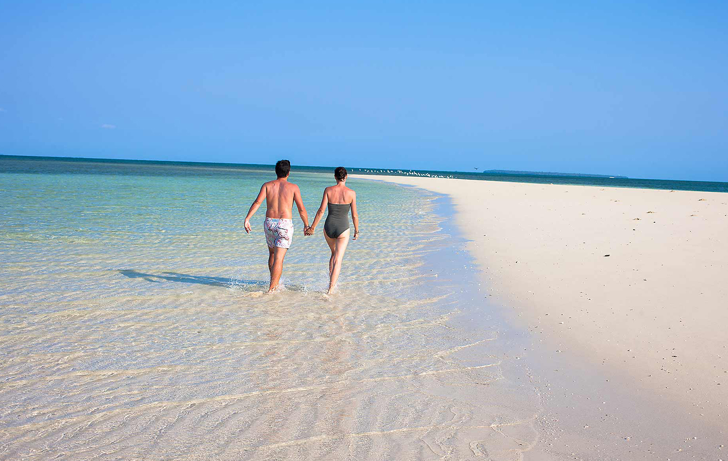 Safari Blue Sea Adventure