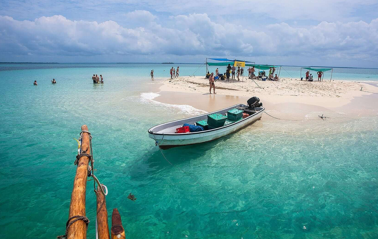 Safari Blue Sea Adventure