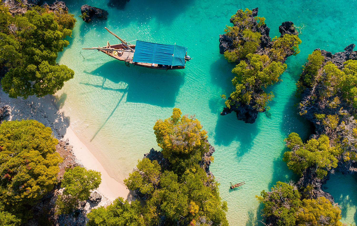 Safari Blue Sea Adventure
